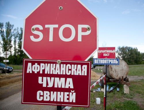 Карантинный пост на границе Волгоградской и Саратовской областей. 23 июня 2013 г. Фото пресс-службы правительства Волгоградской области, http://www.volganet.ru