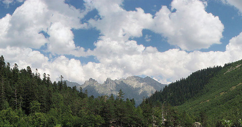 Тебердинский заповедник. КЧР. Фото: panoramio.com/user/55593