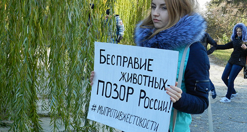 Участница митинга в Волгограде 05.11.2016. Фото Татьяны Филимоновой для "Кавказского узла"