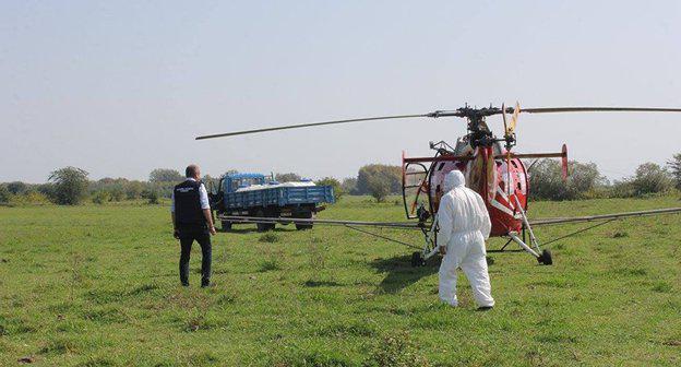 С мраморными клопами в Грузии начали бороться при помощи авиации Фото FB / National Food Agency, https://www.facebook.com/National.Food.Agency/photos/a.1453152704720620.1073742032.312044018831500/1453152994720591/?type=3&theater 