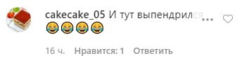 Скриншот комментария о результатах голосования в Чечне. https://www.instagram.com/p/CCIK2c_Fl8E/