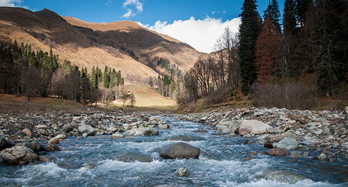 Абхазия. Фото: https://abkhazmoscow.ru/proektyi/o-proekte-gornaya-abxaziya