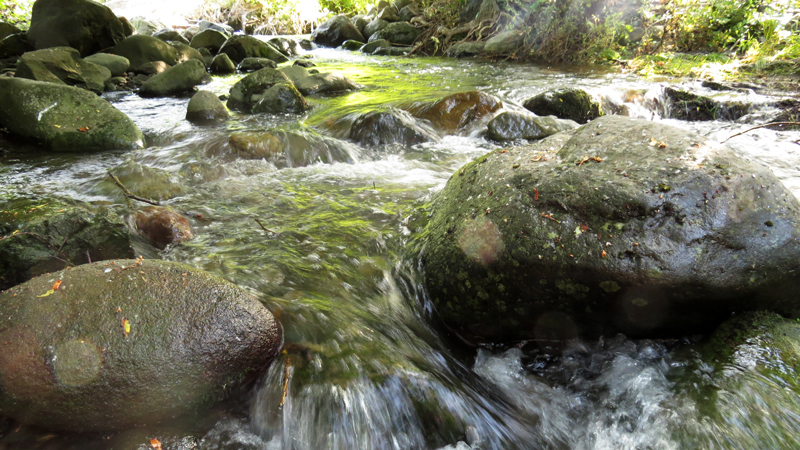 Звуки природы, шум воды - 1.